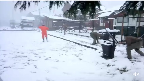 Carabineros guerra de nieve con trabajadores en Aysén