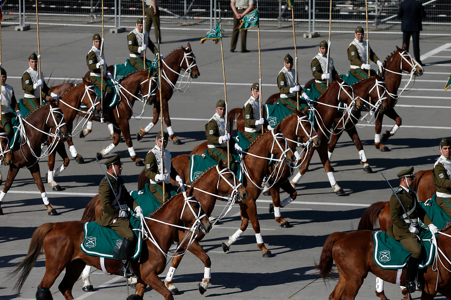 Un insólito hecho ocurrió durante la Parada Militar 2017, luego que un uniformado de Carabineros cayera de su caballo.