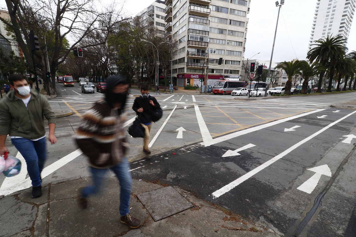 ViÑa Del Mar: Pintan Cruces Peatonales Estilo Tokio