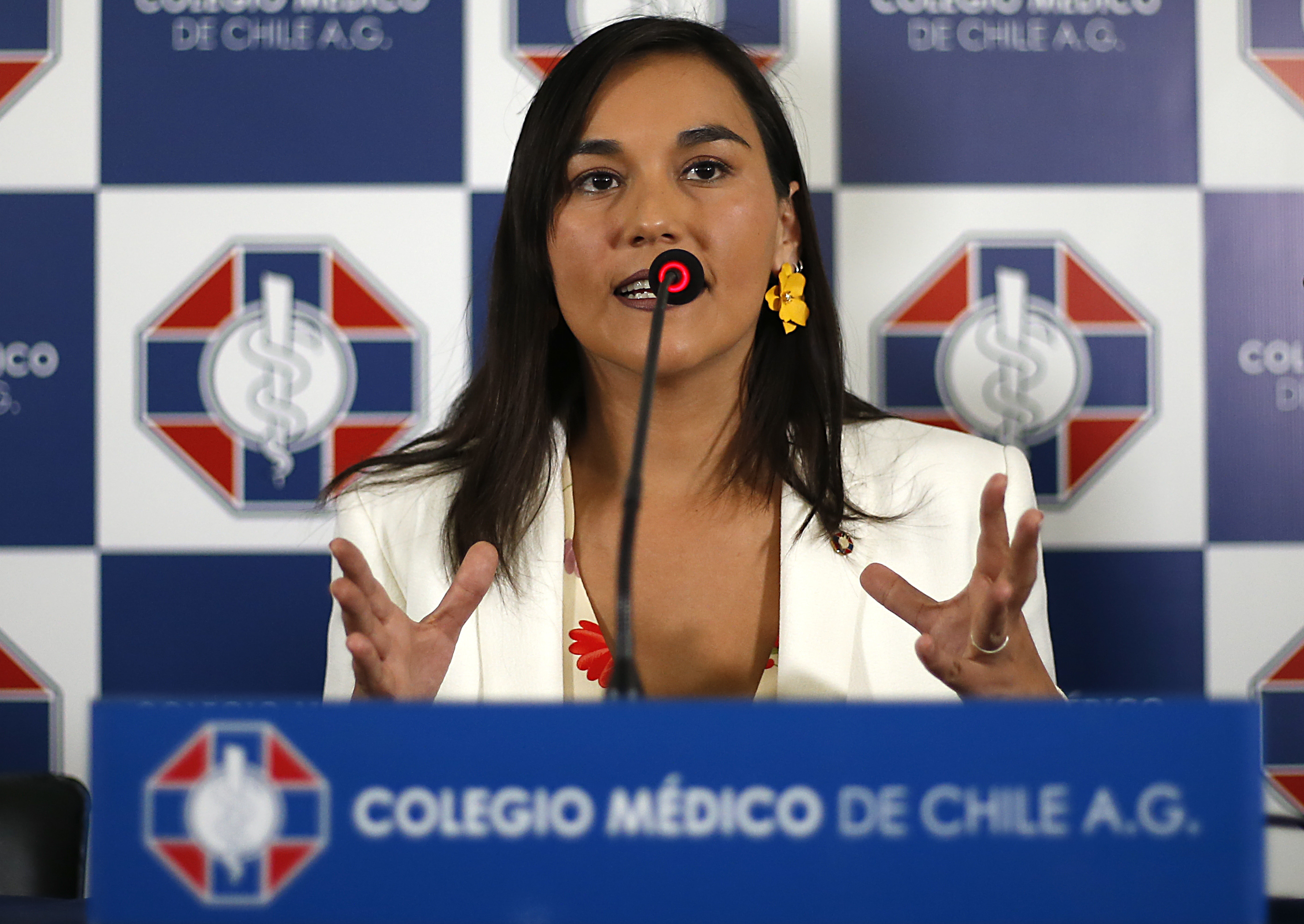 Presidenta Del Colegio Mdico Izkia Siches Ofrece Conferencia De Prensa