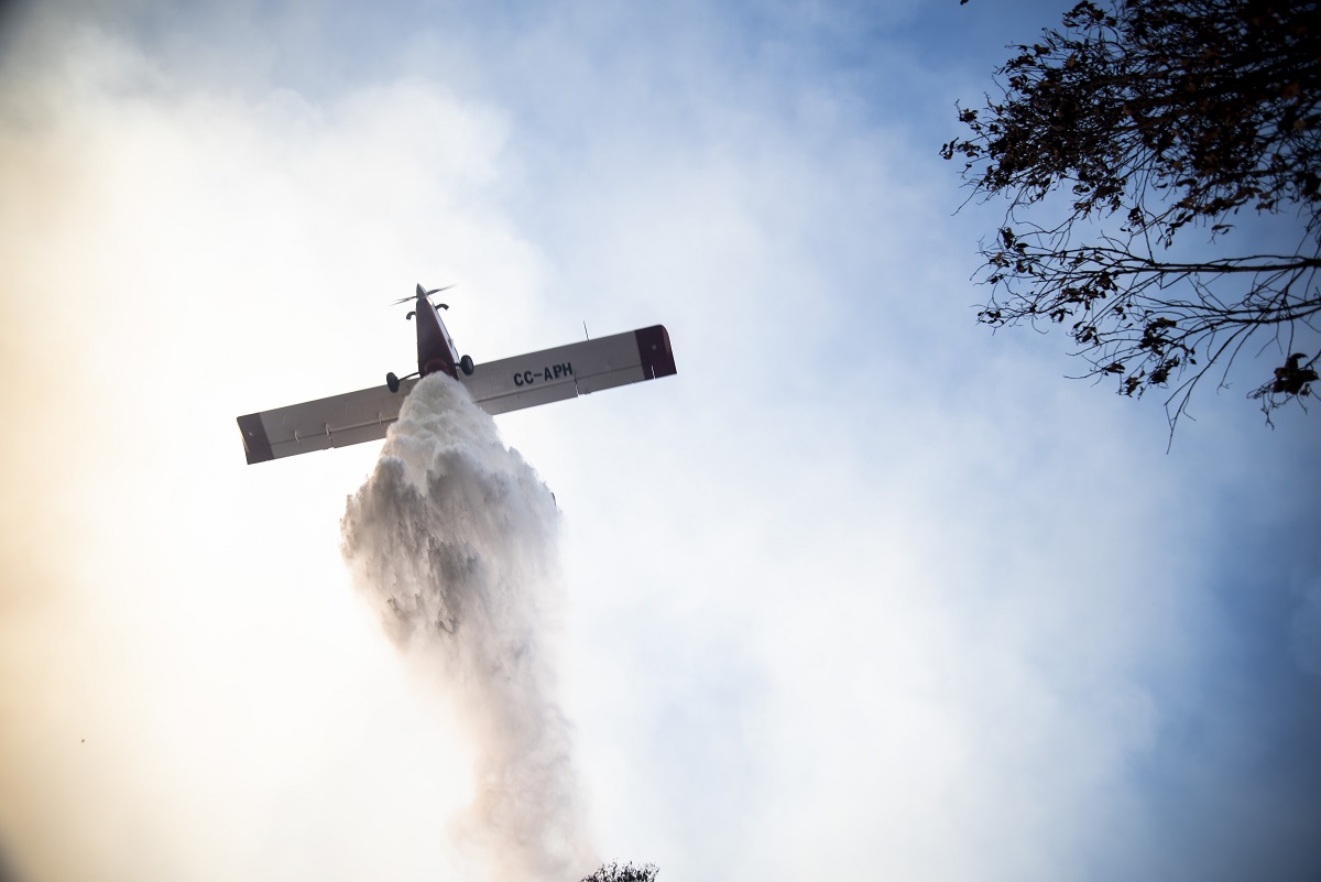 Valparaiso: Incendio Forestal En Cuesta Balmaceda