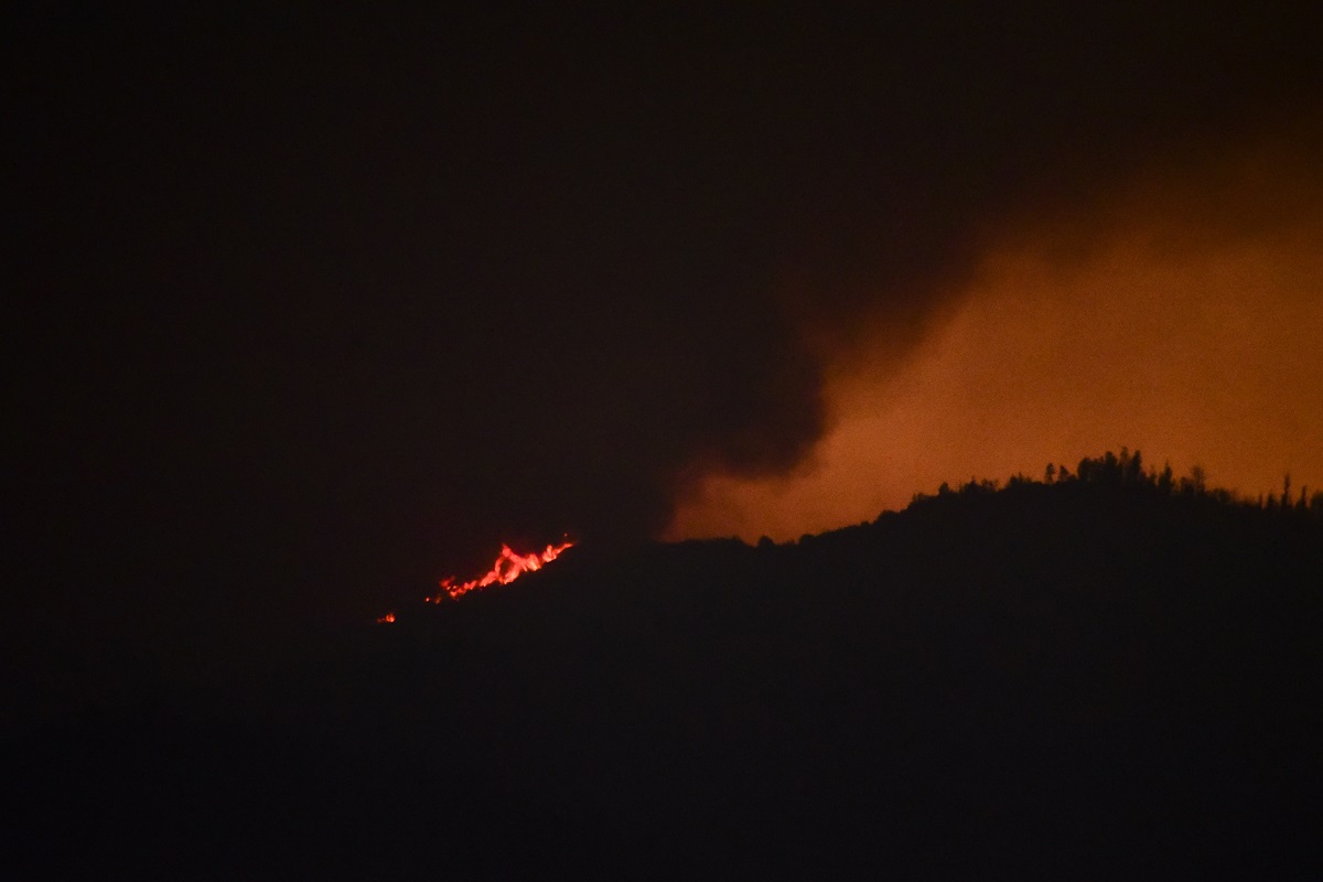 Valparaiso: Alerta Roja Por Incendio Forestal En Peñuelas