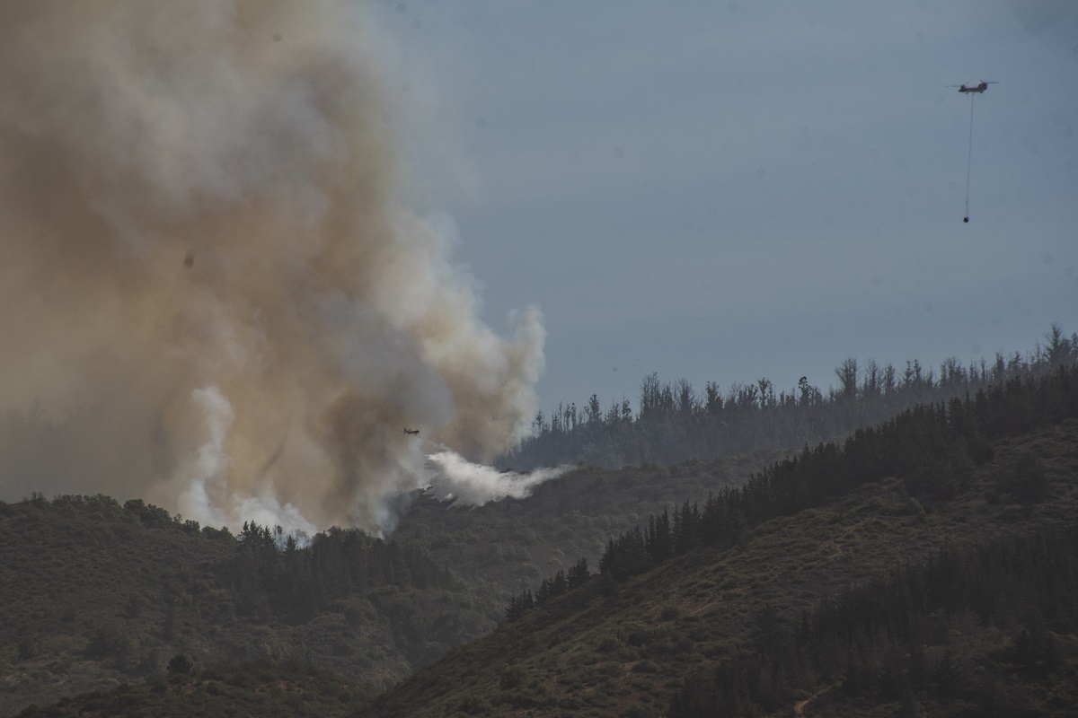 Quilpue: Incendio Forestal Consume Mas De 150 Hectareas