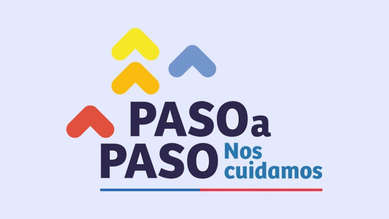 Plan Paso A Paso Minsal Gob Chile