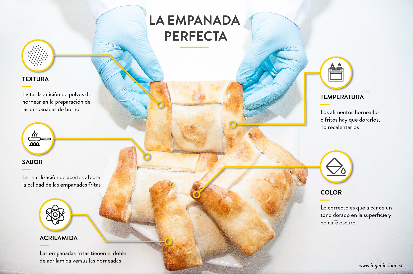 Infografia Empanada Perfecta