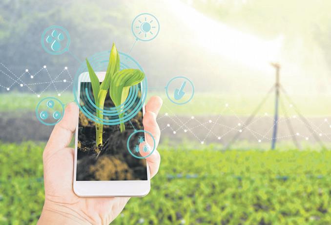 Agricultura Avanza En Tecnologia