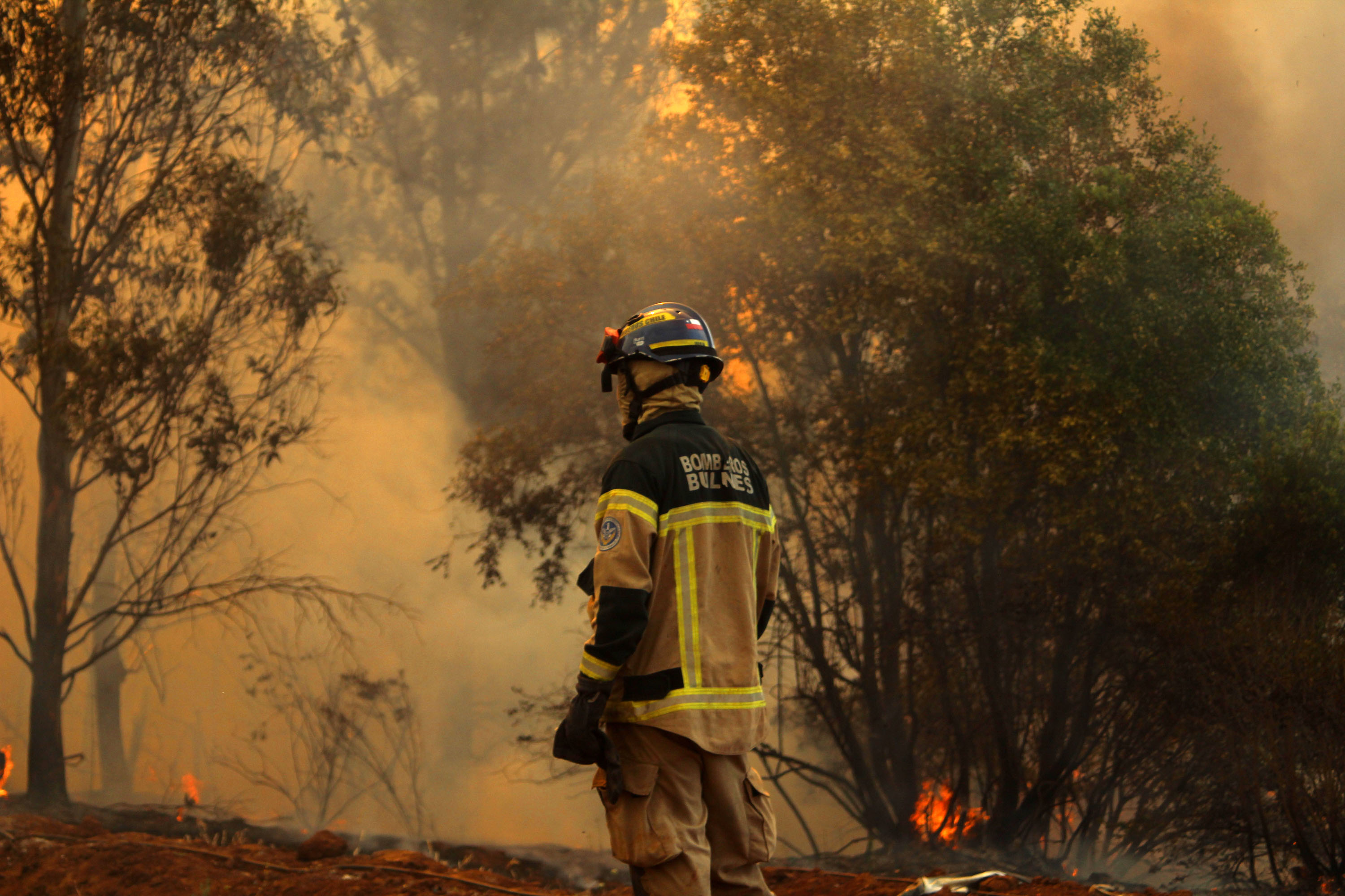 Quillon: Evacuación De Personas Cercanas A Incendio Forestal