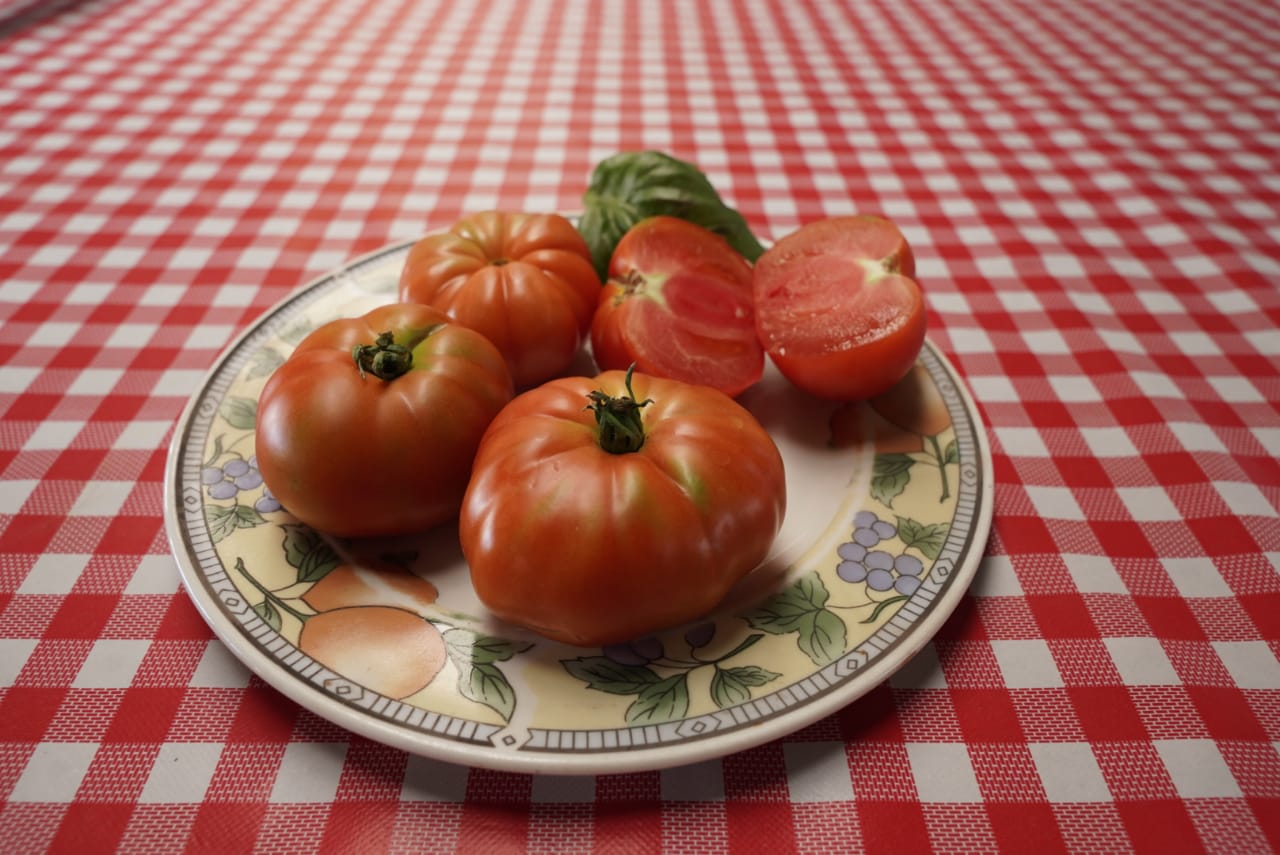 Tomate Limachino
