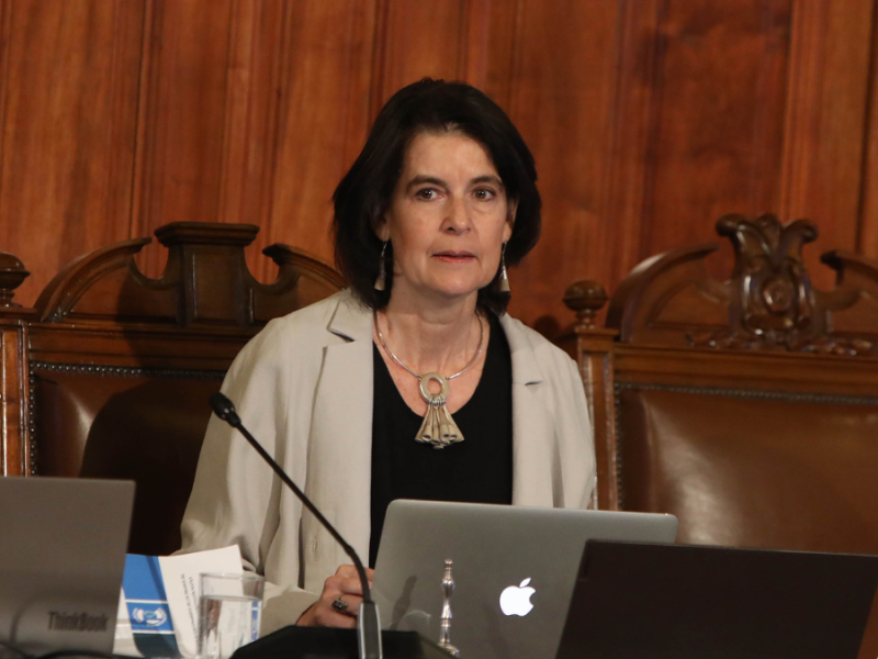 Presidenta Comisión Experta - Verónica Undurraga