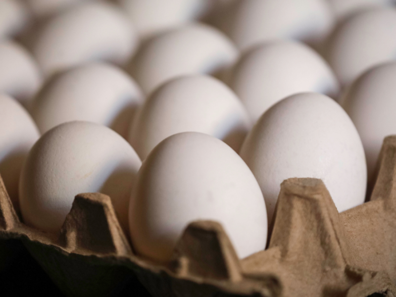 huevos - gripe aviar