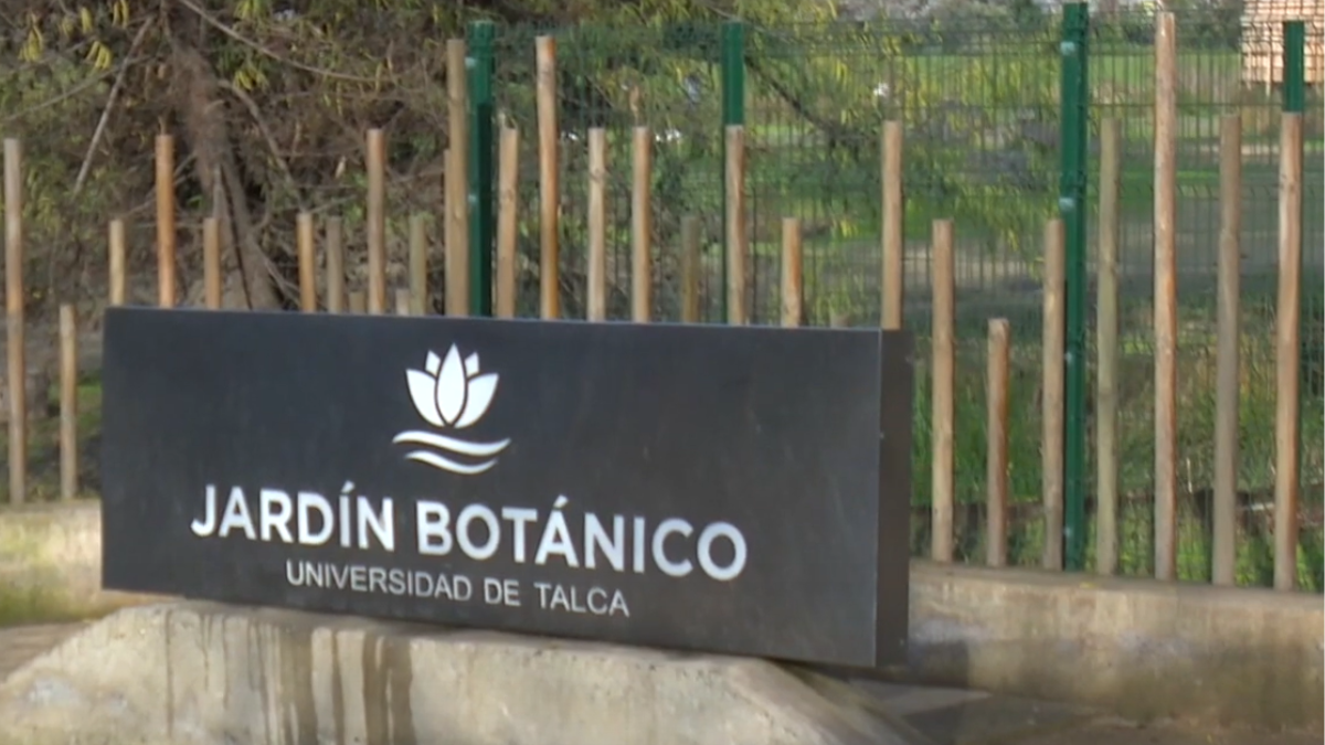 Jardín botánico - Universidad de Talca (1)