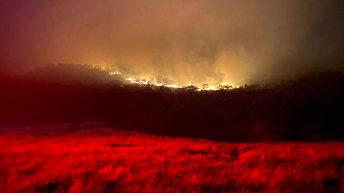 Alerta Roja para La Estrella por incendio forestal