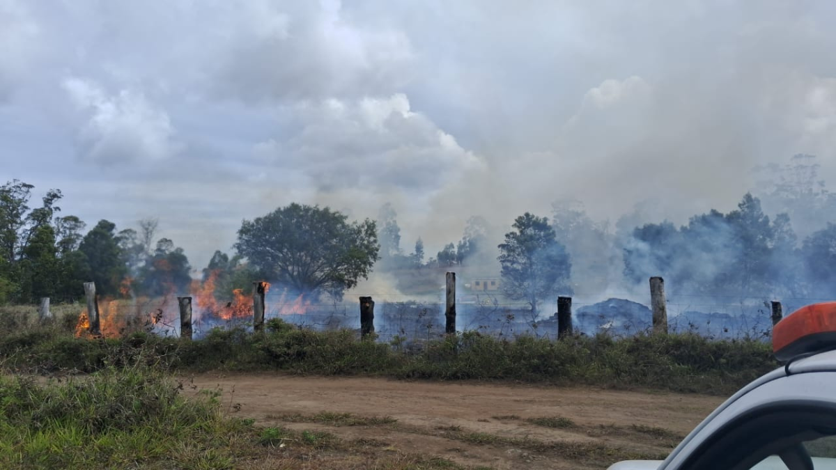 Alerta roja en Isla de Pascua por incendio forestal.