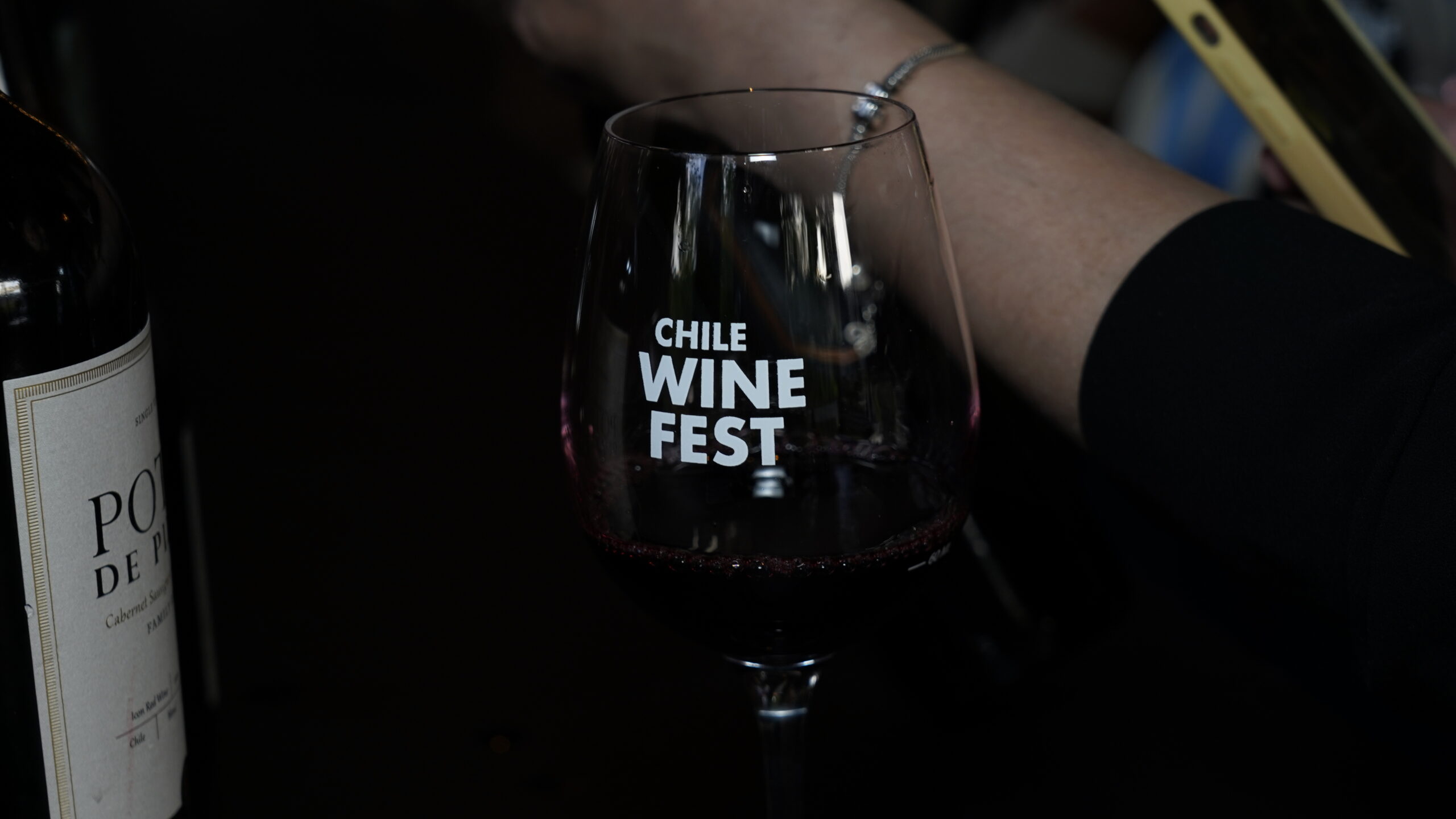 Chile Wine Fest