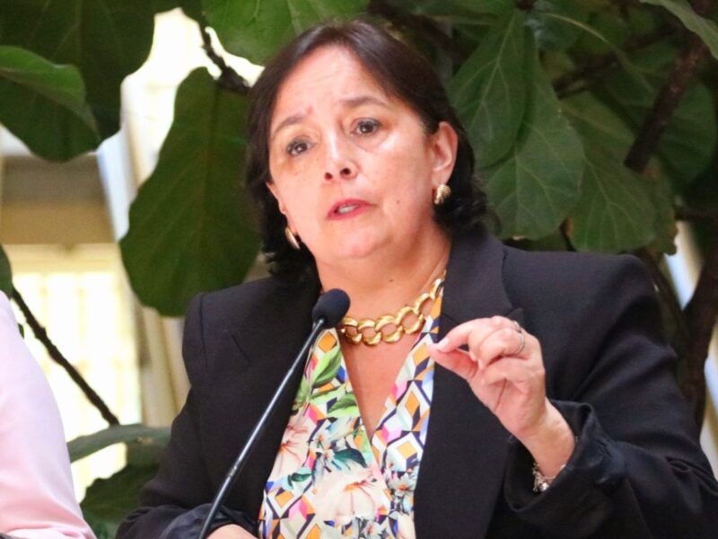 Senadora del Partido Republicano, Carmen Gloria Aravena