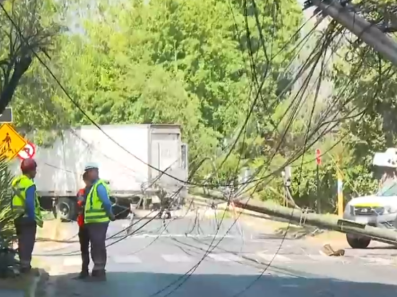 Camión arrasa con más de 10 postes de luz en La Reina