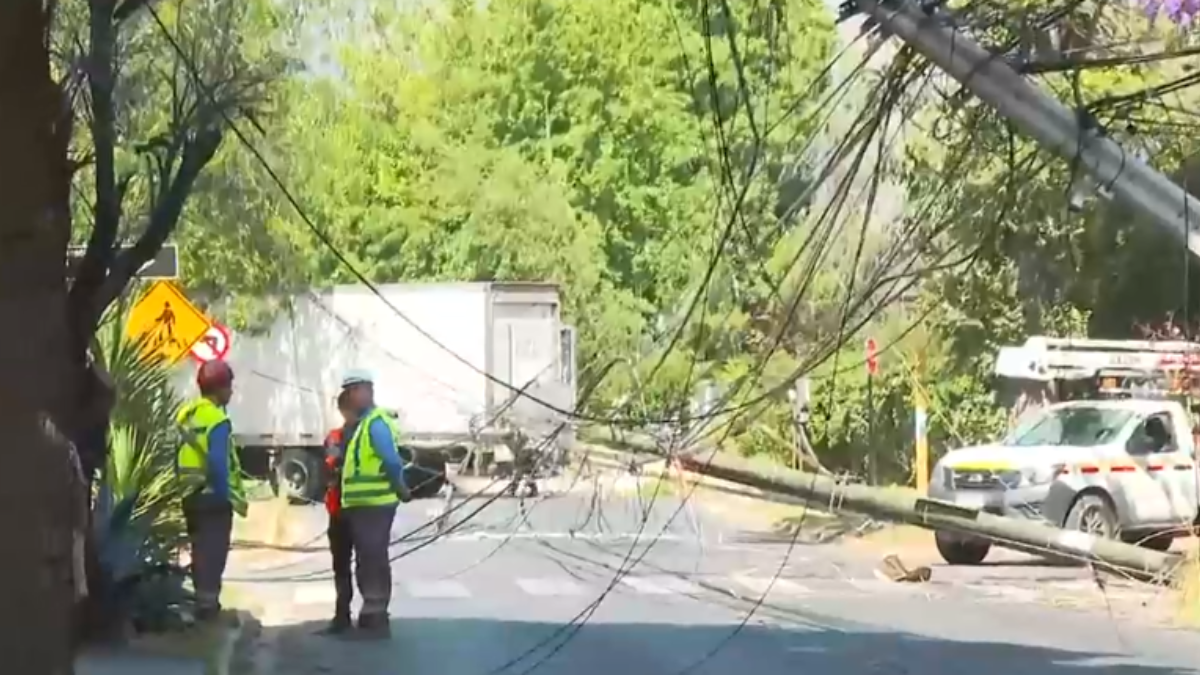 Camión arrasa con más de 10 postes de luz en La Reina