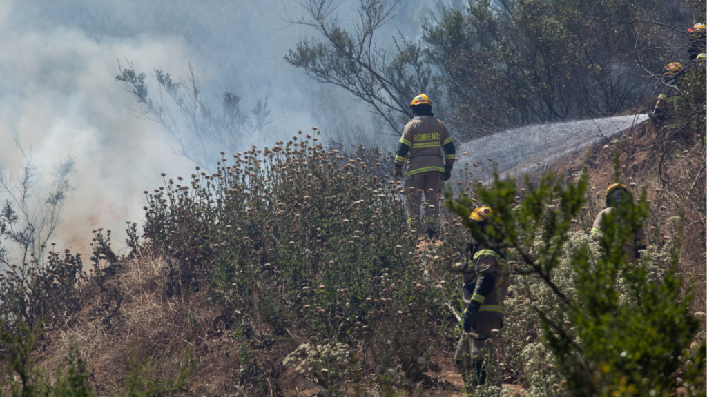 Incendio Forestal en Villa Alemana.