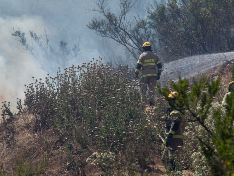 Incendio Forestal en Villa Alemana.
