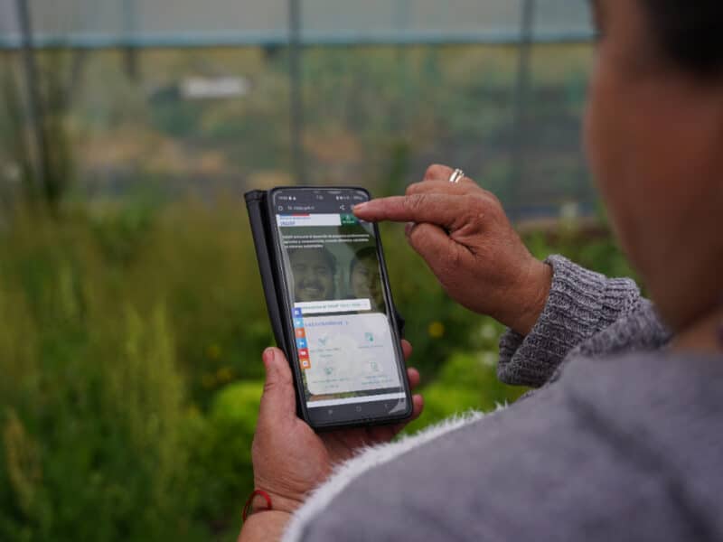 “Mi pago INDAP”: Conoce la plataforma digital que facilitará los pagos de agricultores del país