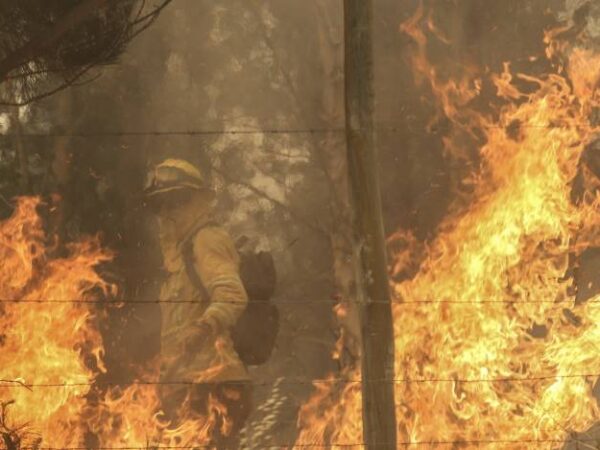 Incendio forestal en Galvarino se encuentra “cercano a zonas habitadas de la comuna”