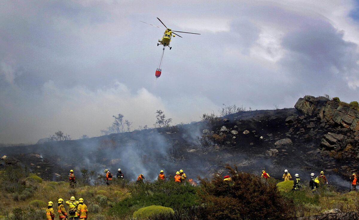 Incendios forestales / Universidad de Chile - Referencial