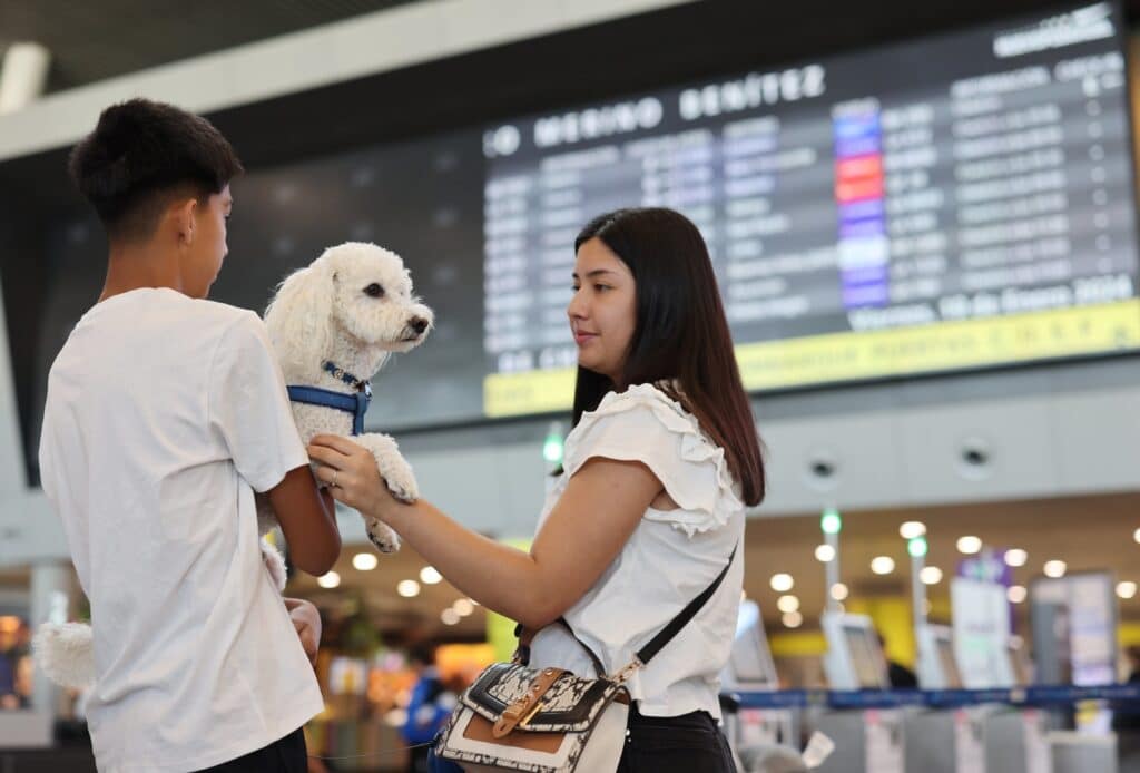 Recomendaciones para viajar con mascotas en avión