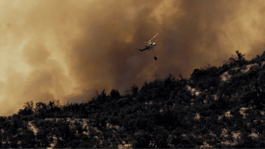 Dos incendios forestales en la región de O'Higgins.