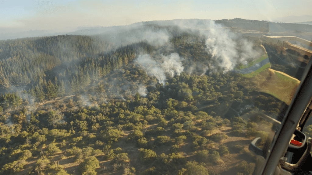 La región de O'Higgins está en alerta amarilla por dos incendios forestales.