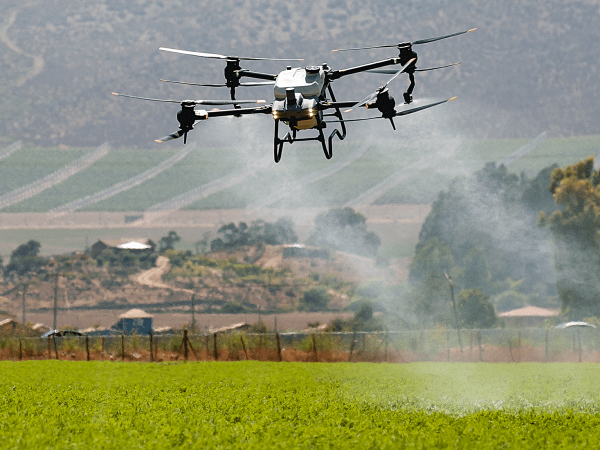 Drones con Inteligencia Artificial revolucionan la industria agrícola en Chile