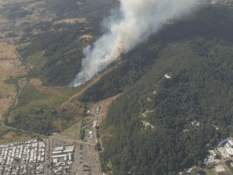 Incendio en cerro Ñielol en Temuco