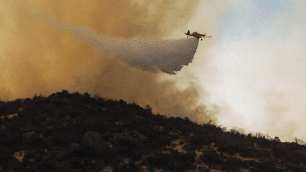 Incendio forestal en San Pedro, Región Metropolitana