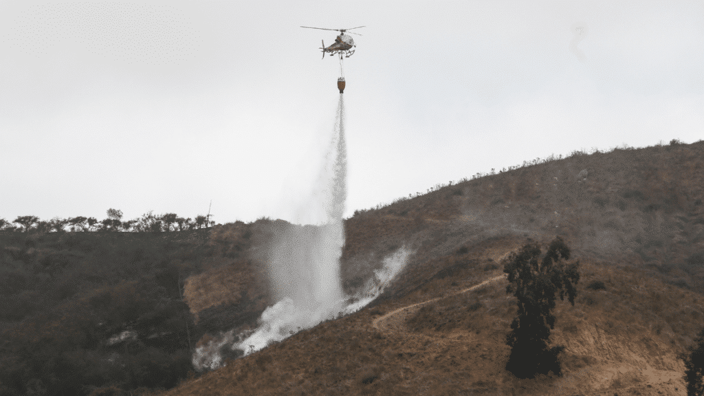 Alerta roja en Monte Patria por incendio forestal