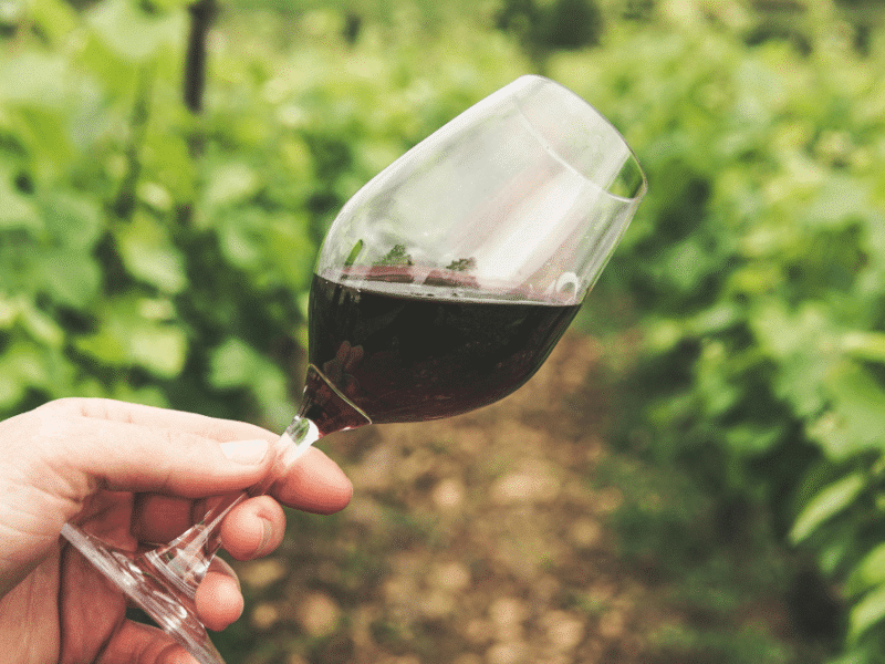 Crece el consumo de vinos sin alcohol.