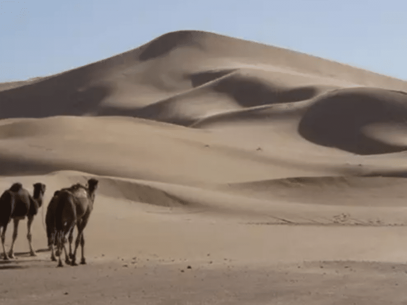 Descifran el misterio de las dunas más grandes de la Tierra.