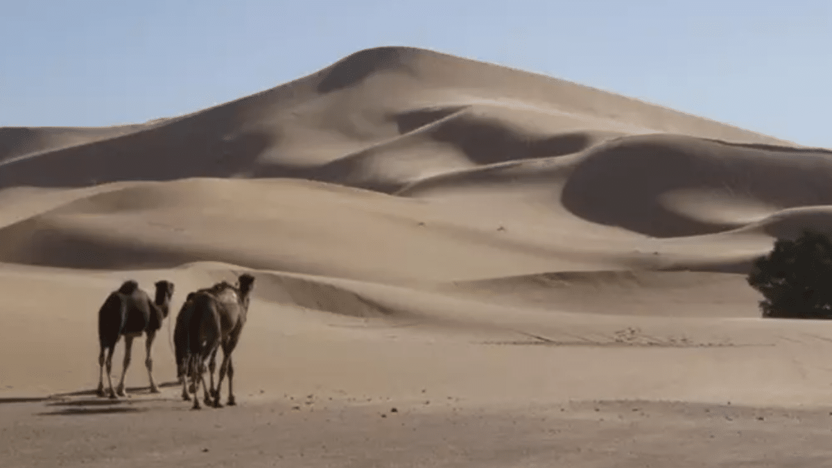 Descifran el misterio de las dunas más grandes de la Tierra.