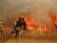 Alerta Roja para la comuna de Tirúa por incendio forestal