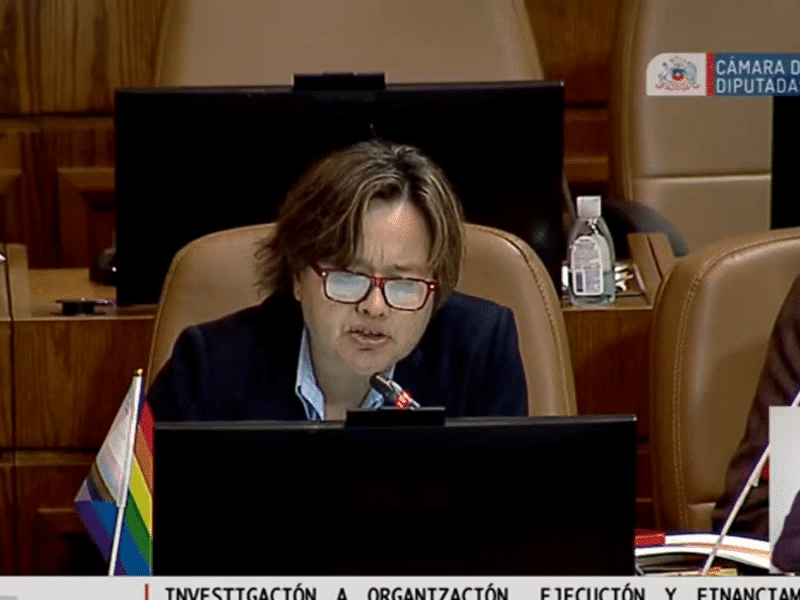 VIDEO | Diputada Marcela Riquelme se desmayó en plena sesión de la Cámara