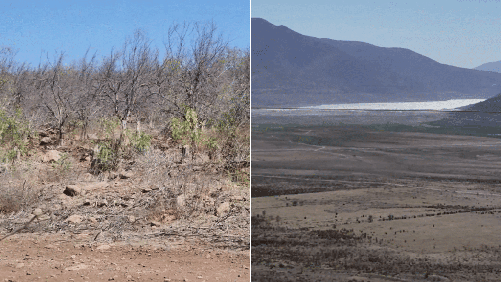 La región de Coquimbo atraviesa una crítica situación de sequía.