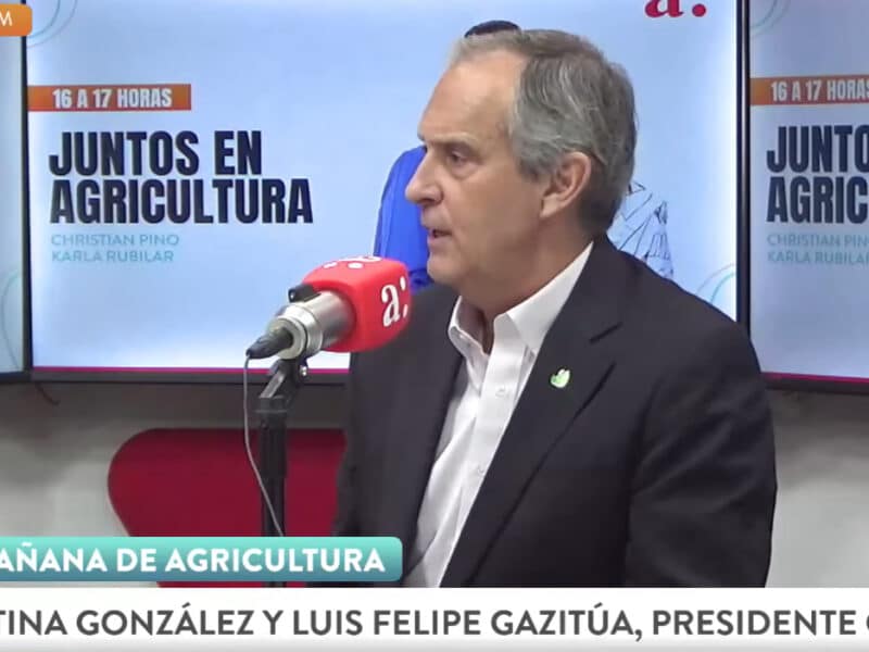 Presidente de CMPC: “En Chile hace muchos años que no hay políticas que valoren y promuevan la industria forestal”