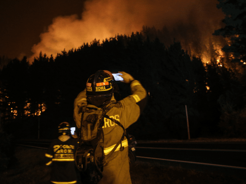 Incendio forestal en Villarrica.