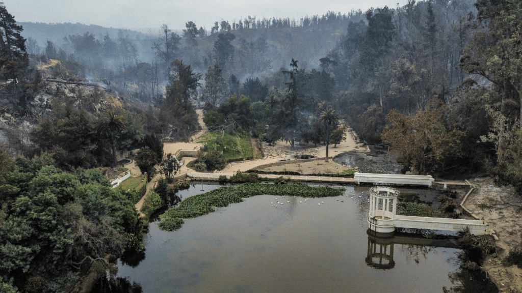 Vista de Drone de Incendios forestales en Jardín Botánico Nacional ubicado en Viña del Mar.
