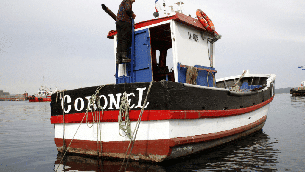 Pescadores artesanales protestan ante crisis de sardina en la región del Biobío.