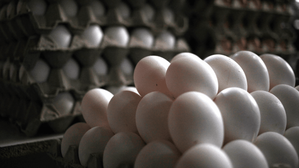 Producción de huevos creció interanualmente.