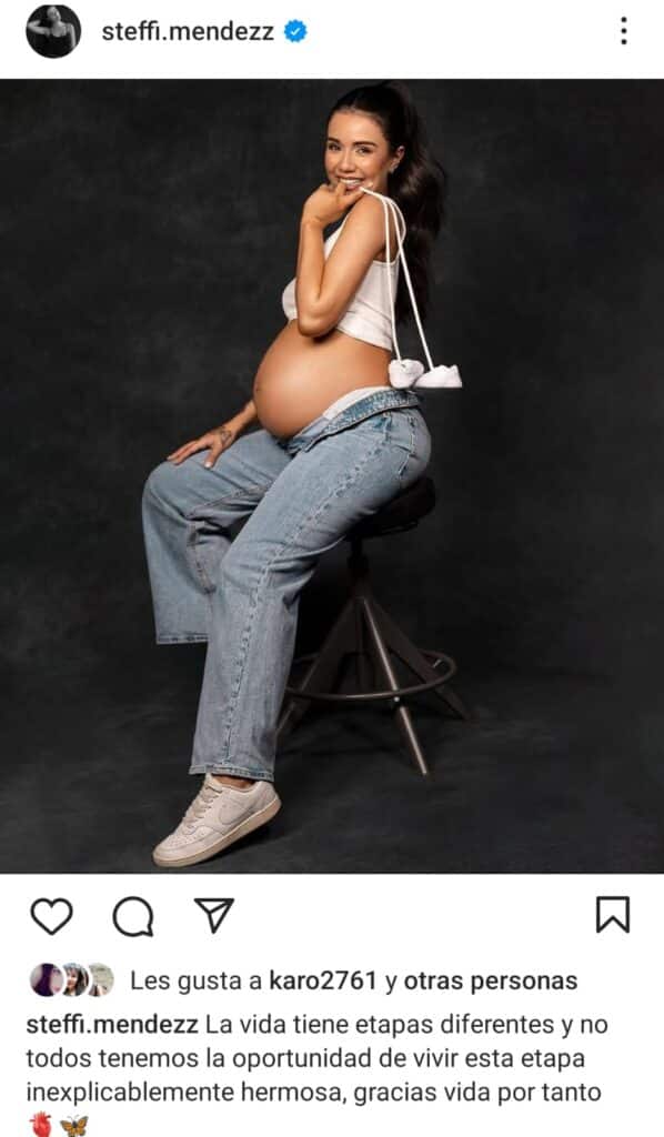 Steffi Méndez emocionó con tierna foto de su embarazo