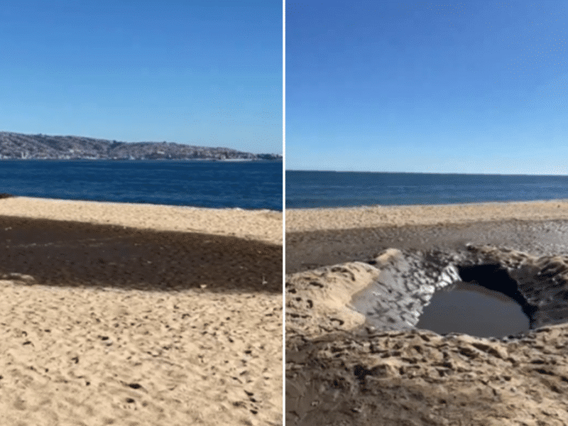 Piden investigar aparición de manchas oscuras en la arena de la Playa Los Marineros en Viña el Mar