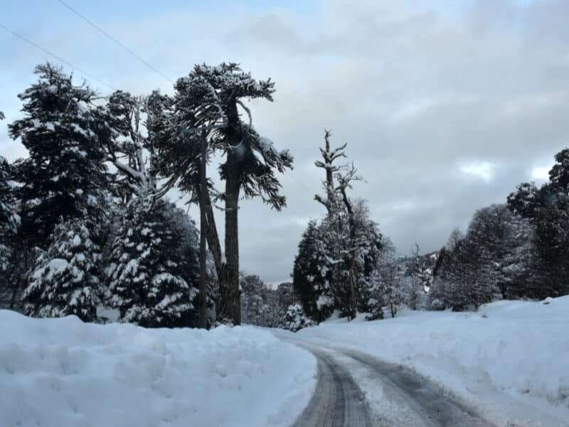 Dirección Meteorológica emite aviso por “probables nevadas” en tres regiones