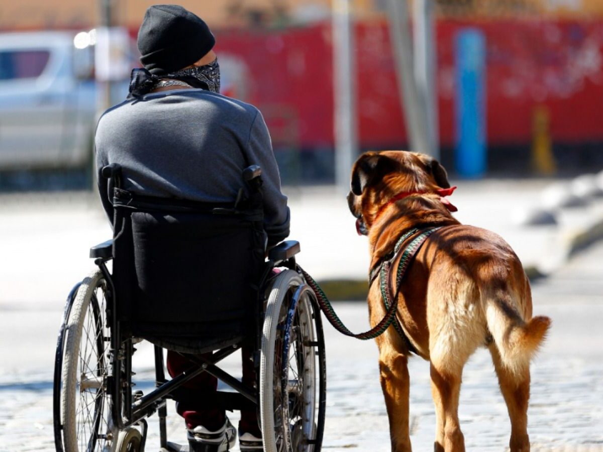 FCHD y parlamentarios exigen programas de apoyo para prevenir delitos hacia personas en situación de discapacidad y adultos mayores