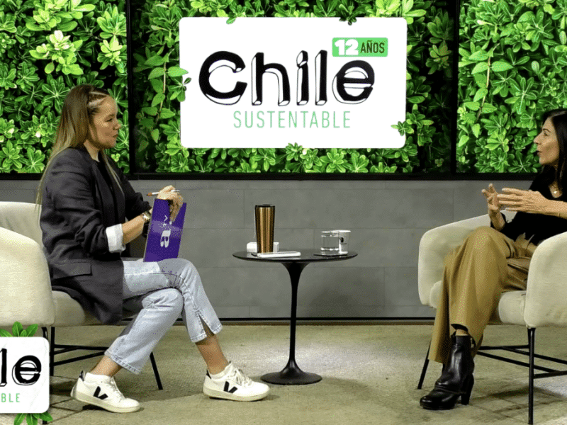 “Chile sustentable”: Marcela Bravo habló sobre el trabajo de “Acción Empresas”